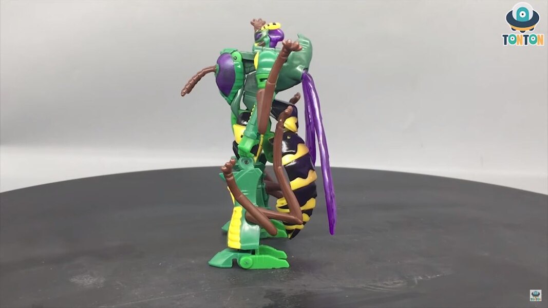 Transformers Kingdom Deluxe Class Waspinator  (15 of 38)